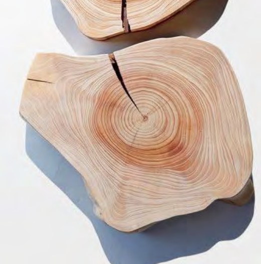 Natural Stone 02 ceramic surface
