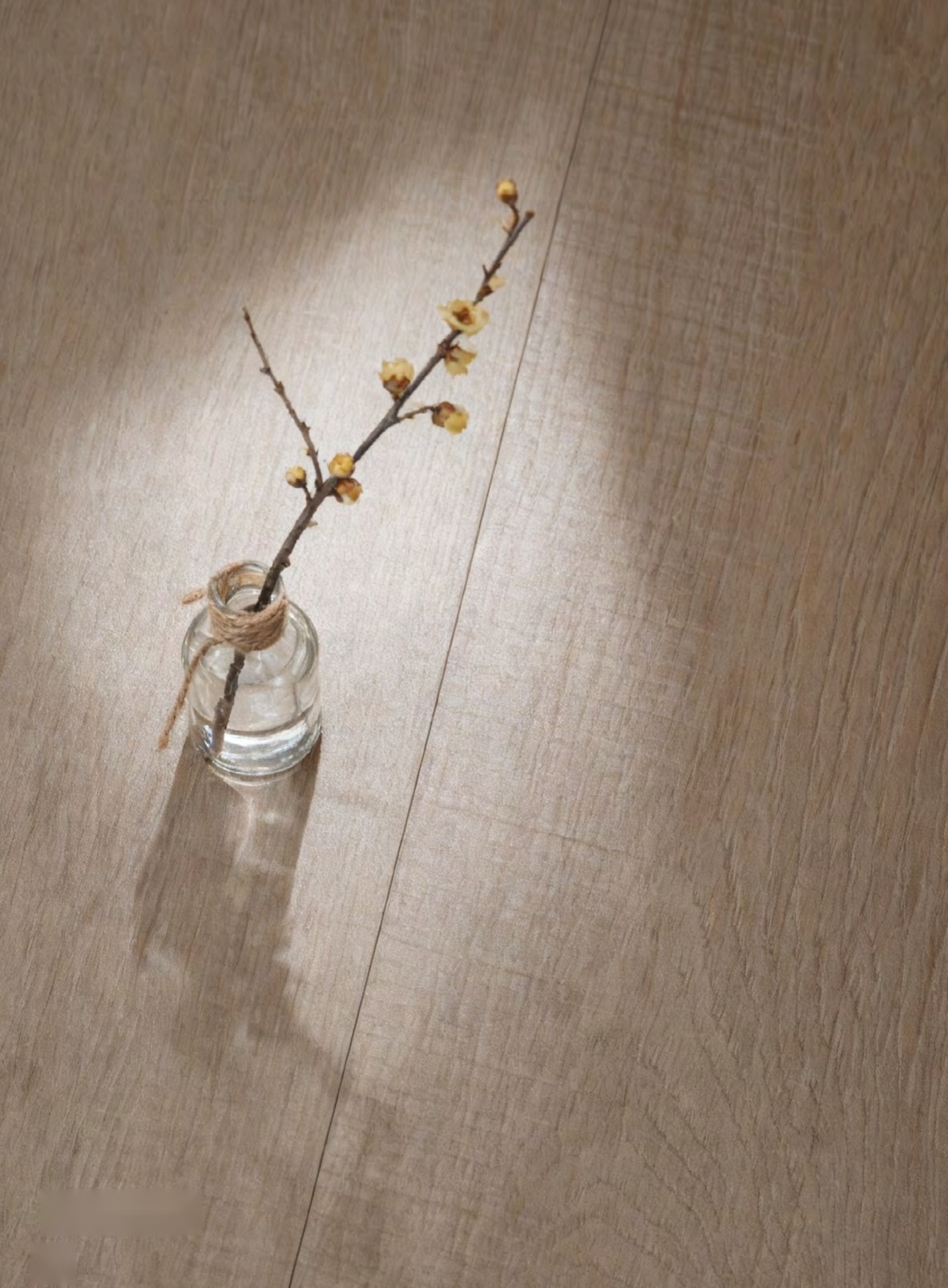 Sage Drift ceramic surface