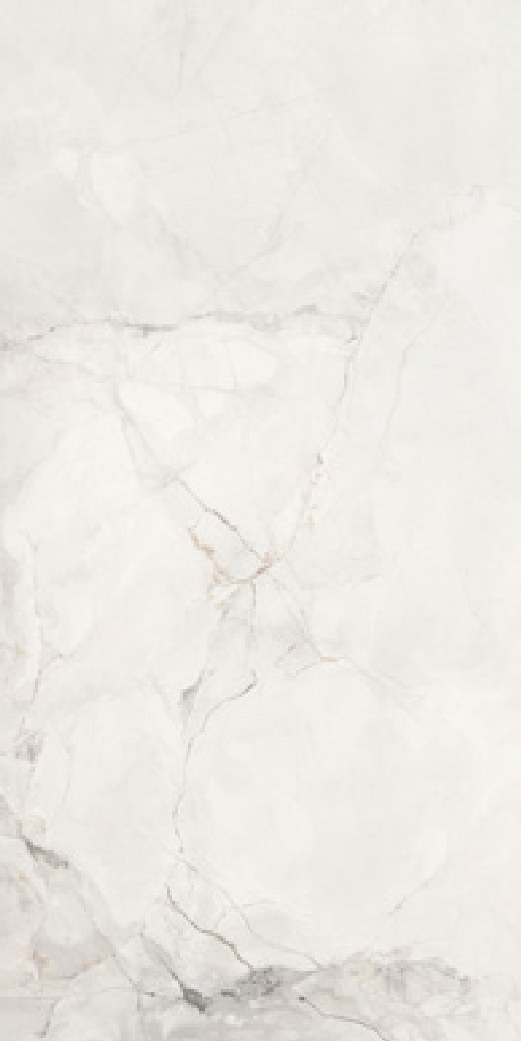 Ivory Field 14 ceramic surface