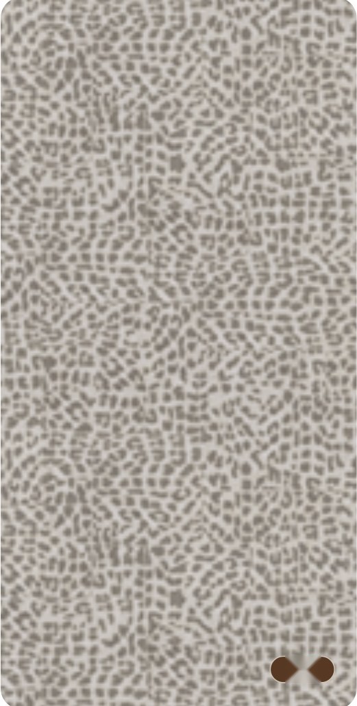 Silver Shore 04 ceramic surface
