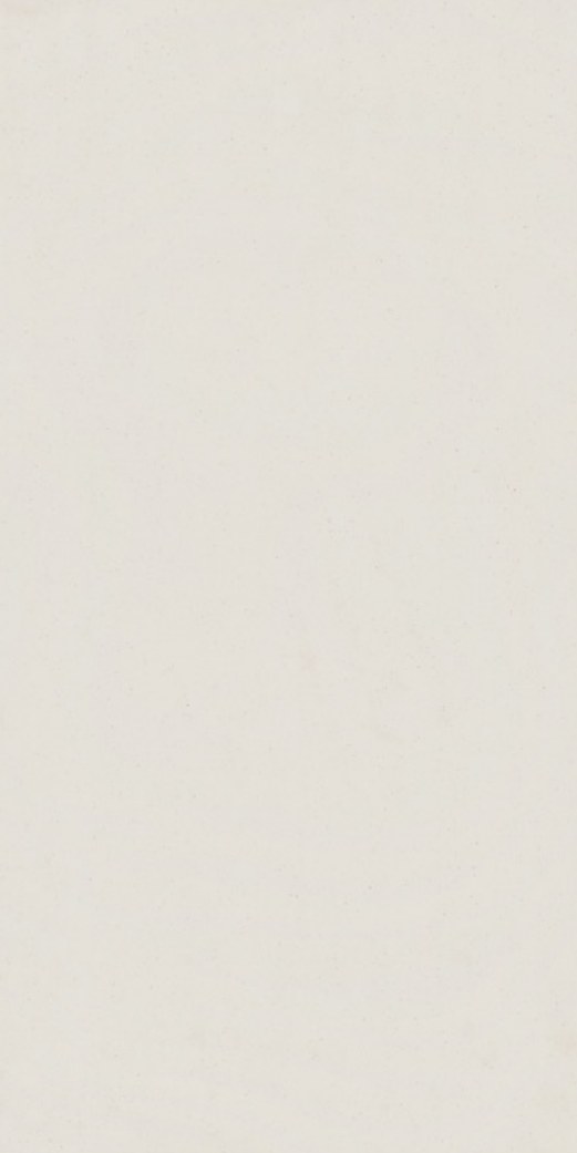 Natural Field 26 ceramic surface