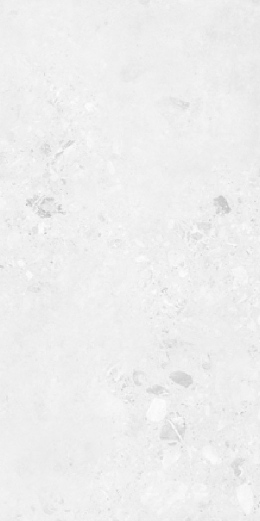 Ivory Mist 117 ceramic surface