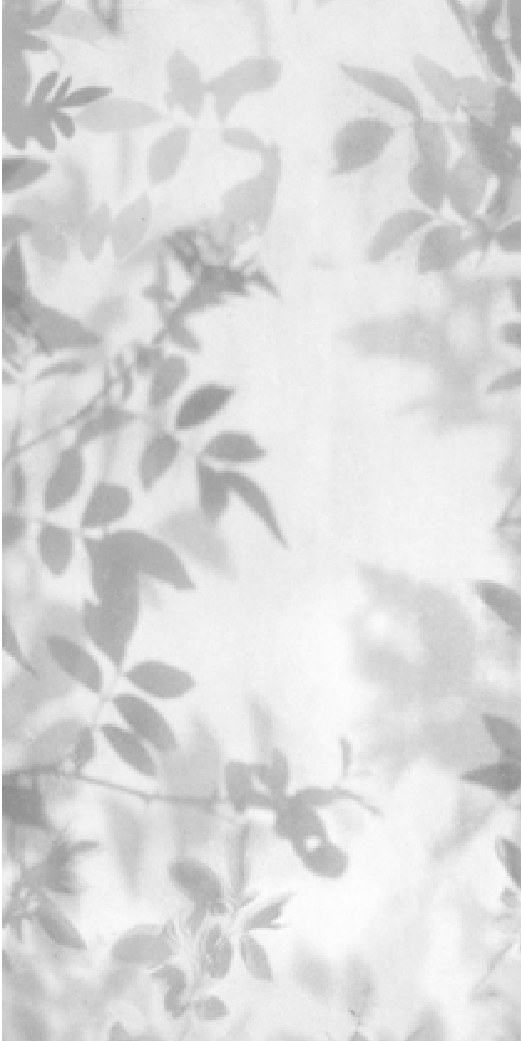 Ivory Dune 141 ceramic surface