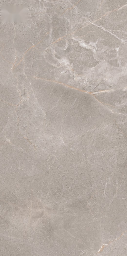 Ivory Shore 146 ceramic surface
