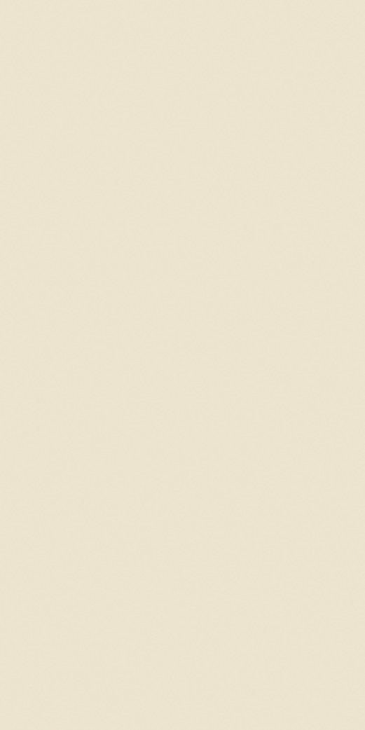 Ivory Stone 165 ceramic surface