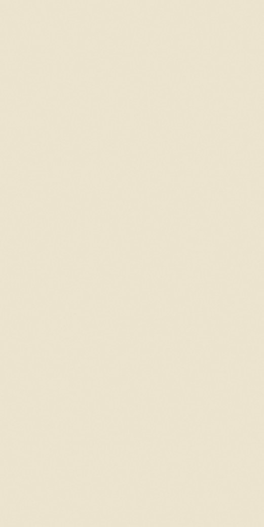 Ivory Shore 169 ceramic surface