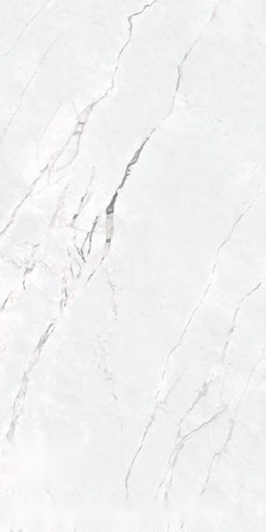 Ivory Field 155 ceramic surface