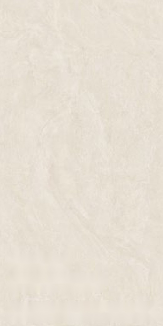 Natural Field 46 ceramic surface