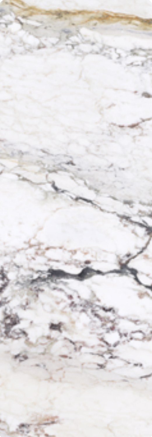 Ivory Trace 23 ceramic surface