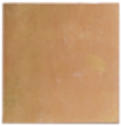 Ivory Vista 44 ceramic surface