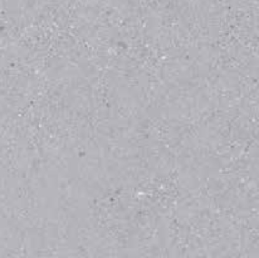 Ivory Cloud 44 ceramic surface