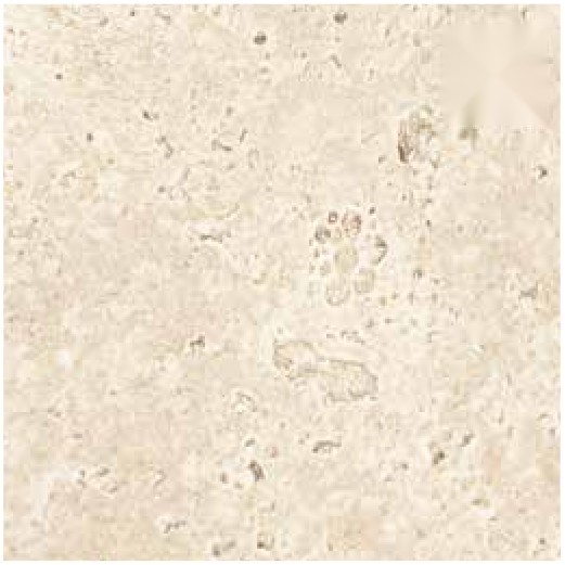 Ivory Ridge 43 ceramic surface
