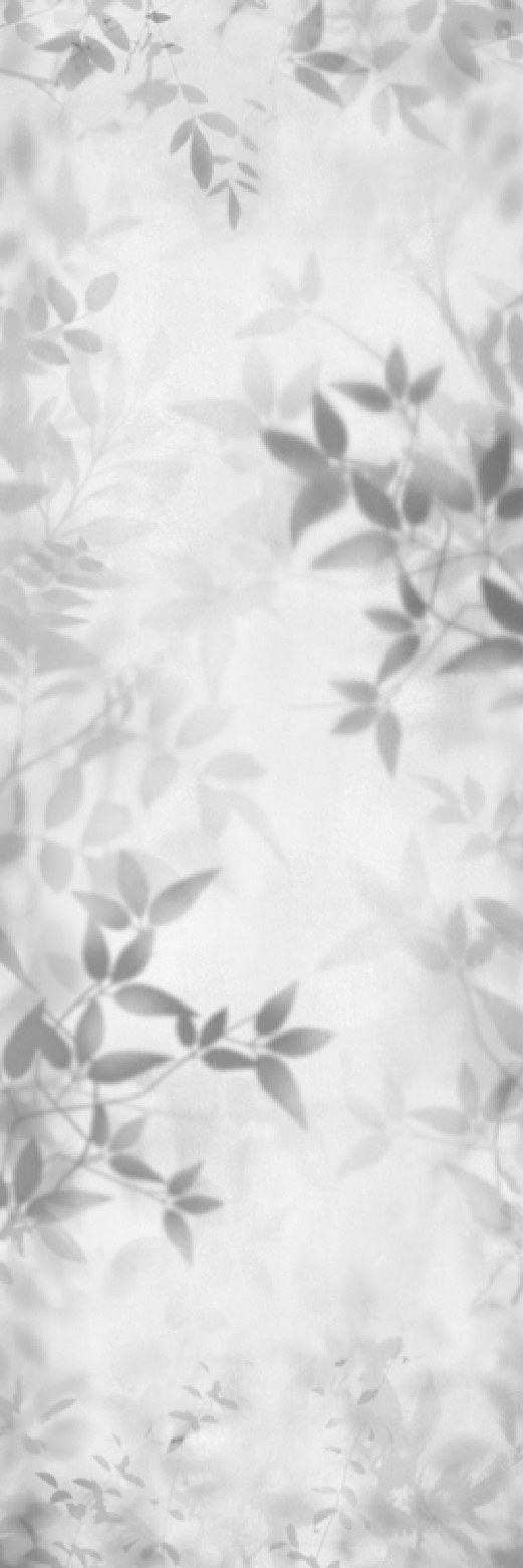 Ivory Vista 62 ceramic surface