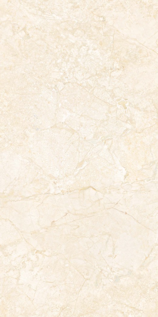 Product Warehouse 06 representative surface