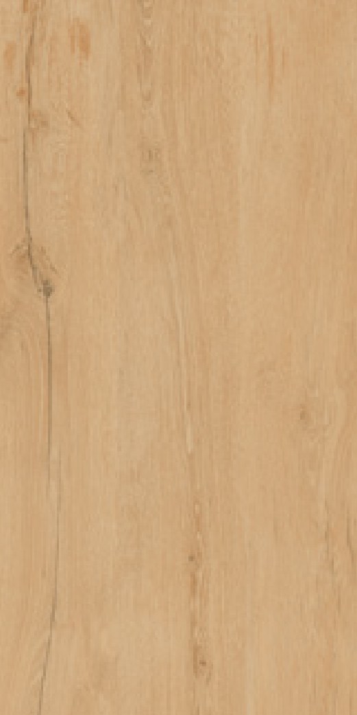 Ivory Oak 05 ceramic surface