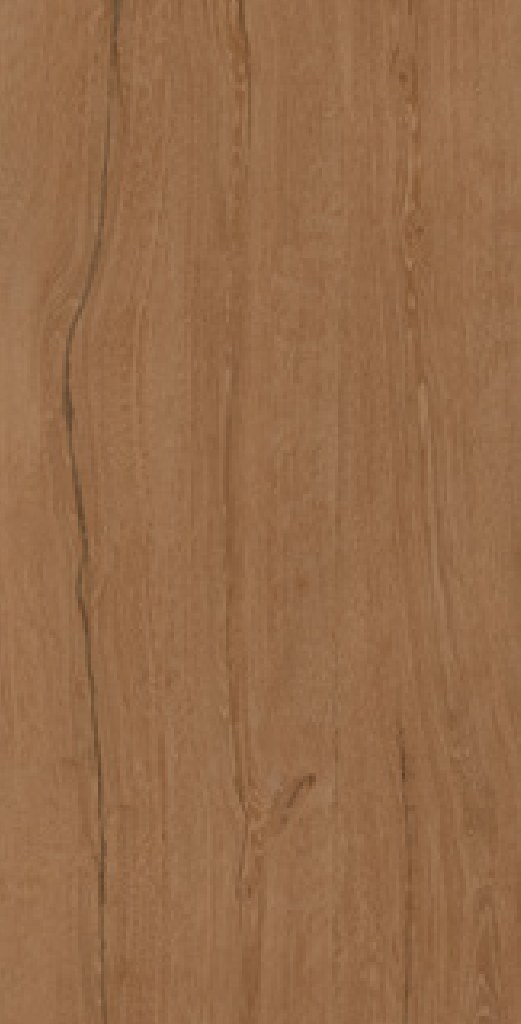 Ivory Wood 03 ceramic surface