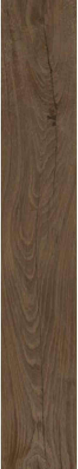 Ivory Timber 06 ceramic surface