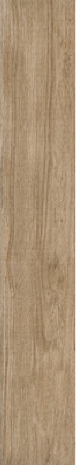 Ivory Oak 09 ceramic surface