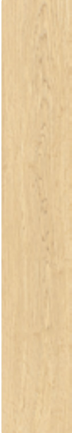 Product Warehouse 16 representative surface