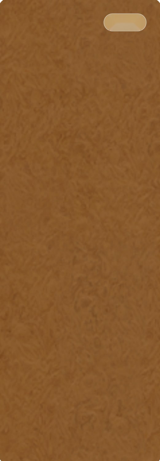 Ivory Linen 06 ceramic surface