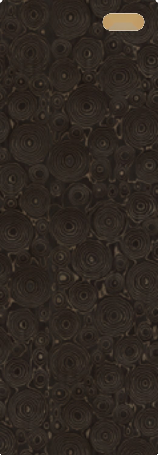 Ivory Wood 07 ceramic surface