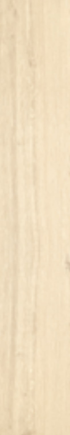 Ivory Wood 08 ceramic surface