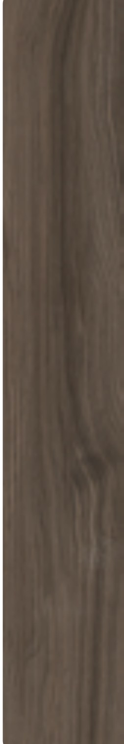 Ivory Timber 14 ceramic surface