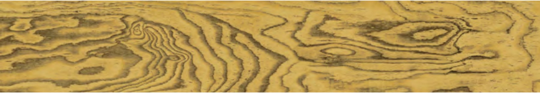 Ivory Grain 23 ceramic surface