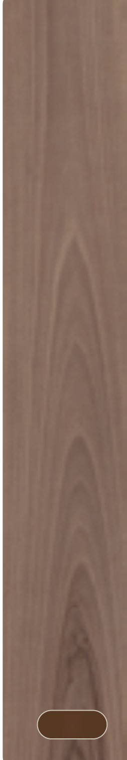 Ivory Timber 22 ceramic surface