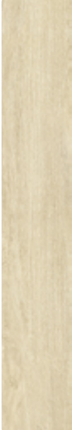 Ivory Grove 19 ceramic surface