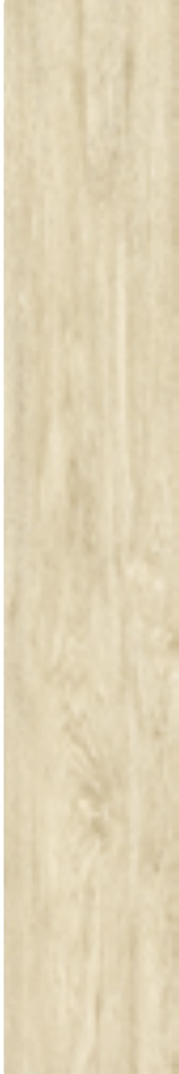 Ivory Timber 23 ceramic surface