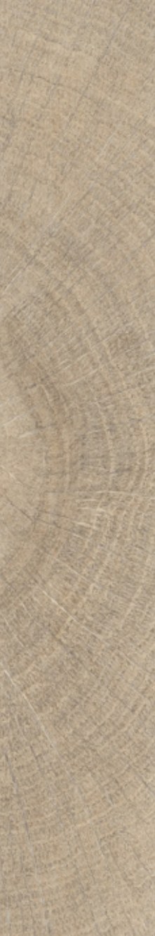 Umber Grove ceramic surface