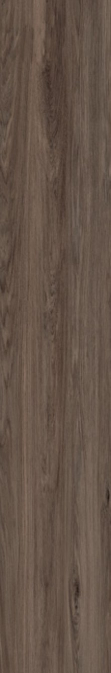 Umber Wood 03 ceramic surface