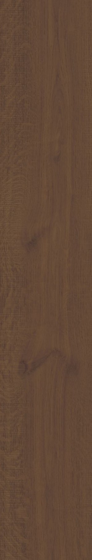Natural Timber 05 ceramic surface