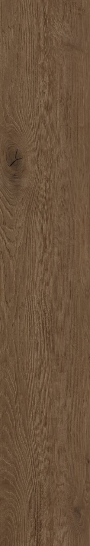 Natural Field 56 ceramic surface