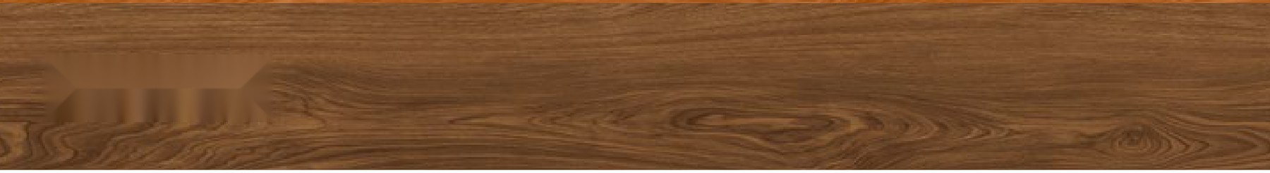 Ash Wood ceramic surface