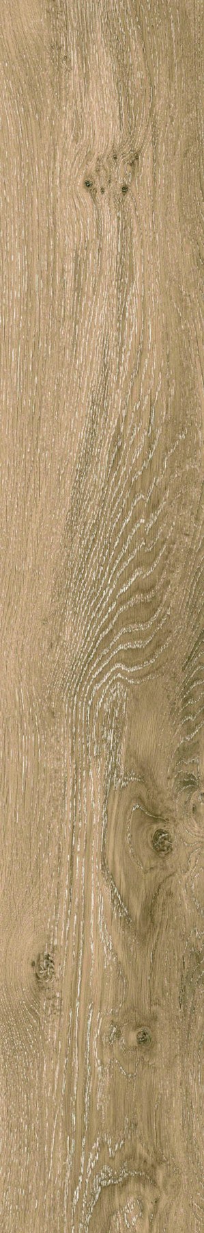 Golden Field ceramic surface