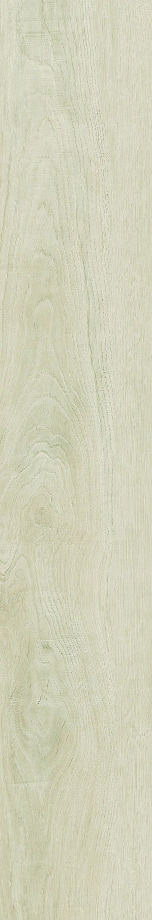 Pale Oak ceramic surface