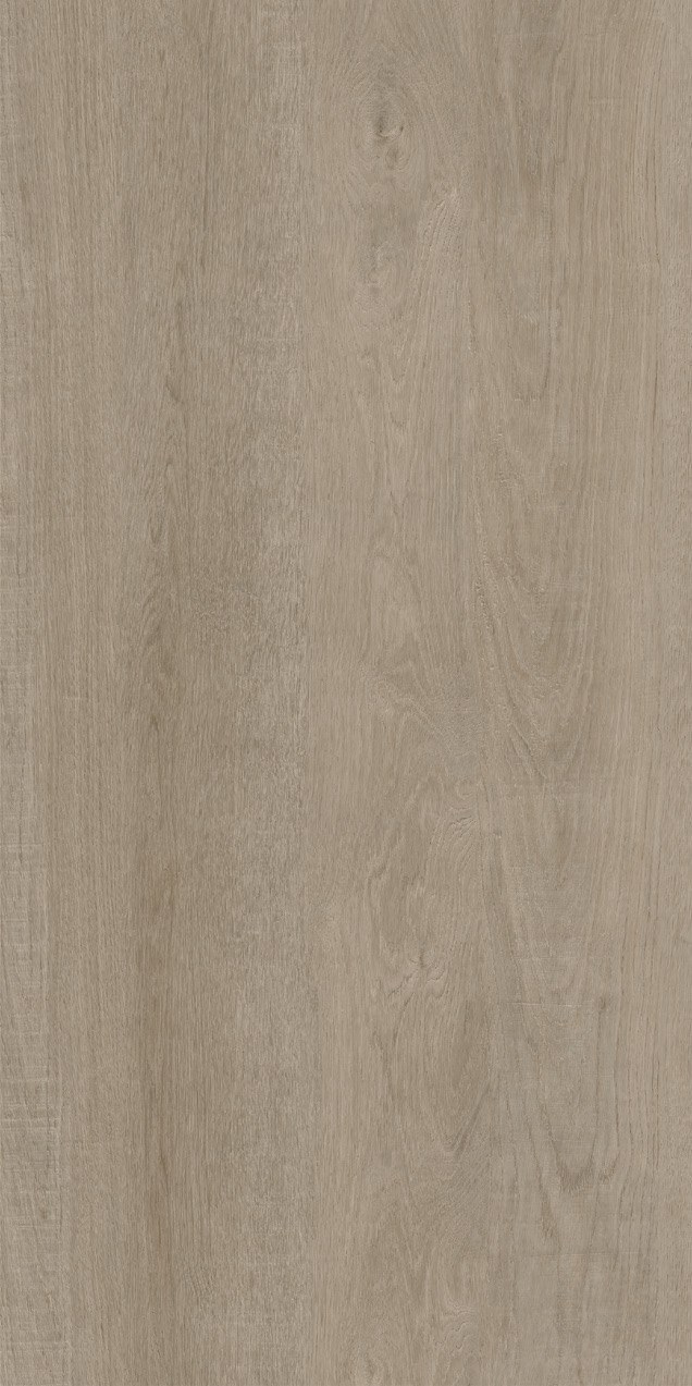 Grey Oak ceramic surface